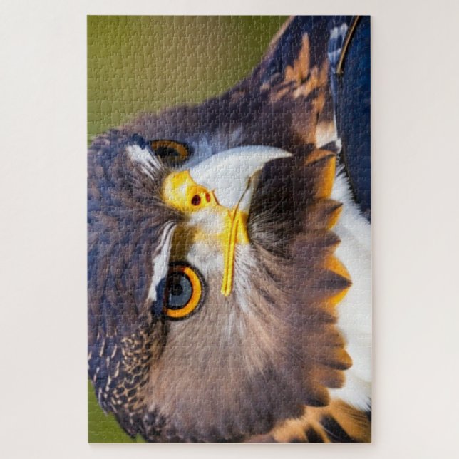 Quebra-cabeça Águia 2 (Vertical)