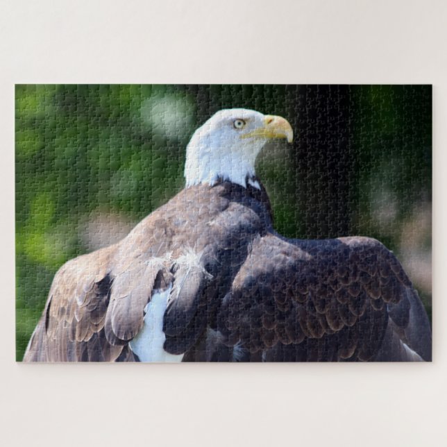 Quebra-cabeça Águia Americana (Horizontal)
