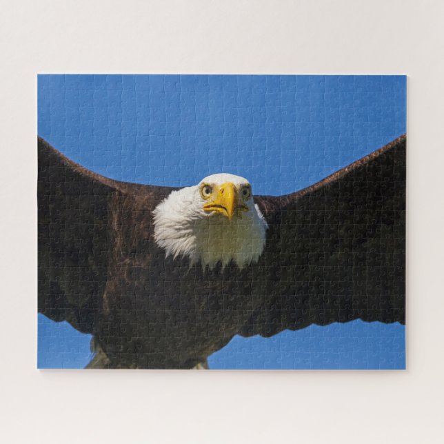 Quebra-cabeça Águia Americana Voando Perto (Horizontal)