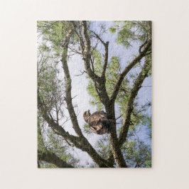 Quebra-cabeça Águia Balda Juvenil Numa Árvore De Pinheiros