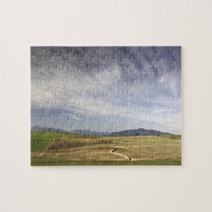 Quebra-cabeça Ajardine com campos de trigo, Grabouw, ocidental