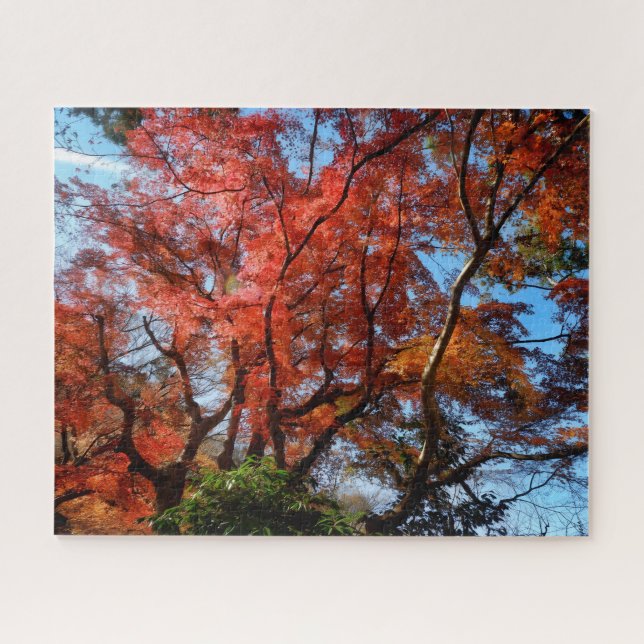 Quebra-cabeça Álamos Japoneses (Horizontal)