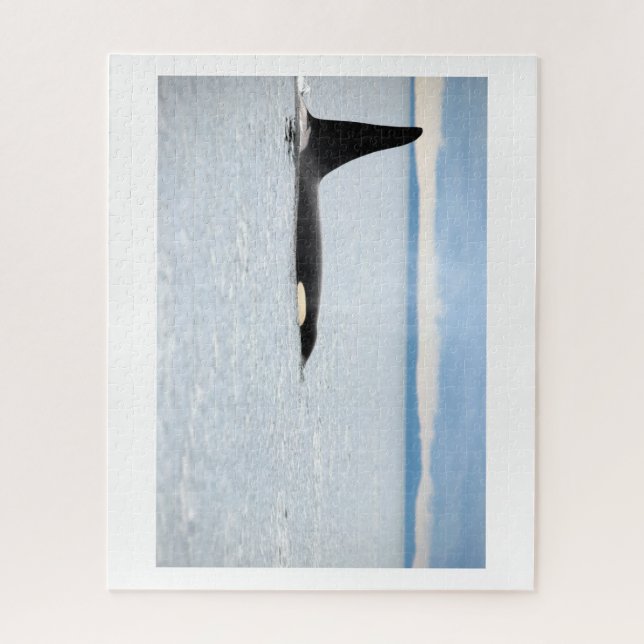 Quebra-cabeça Alasca - Orca (Vertical)