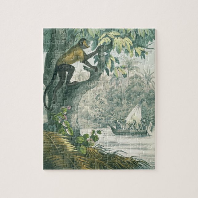 Quebra-cabeça Alcances superiores do Amazon, 'do der do DAS Buch (Vertical)