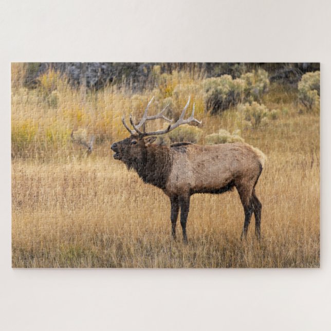 Quebra-cabeça Alce macho | Parque Nacional de Yellowstone (Horizontal)