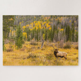 Quebra-cabeça Alce Macho Parque Nacional Montanhas Rochosas Co