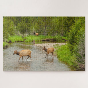 Quebra-cabeça Alces cruzando o rio Colorado