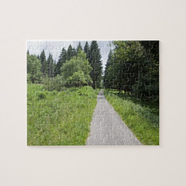 Quebra-cabeça Alemanha, Thuringia, trajeto na floresta (Horizontal)