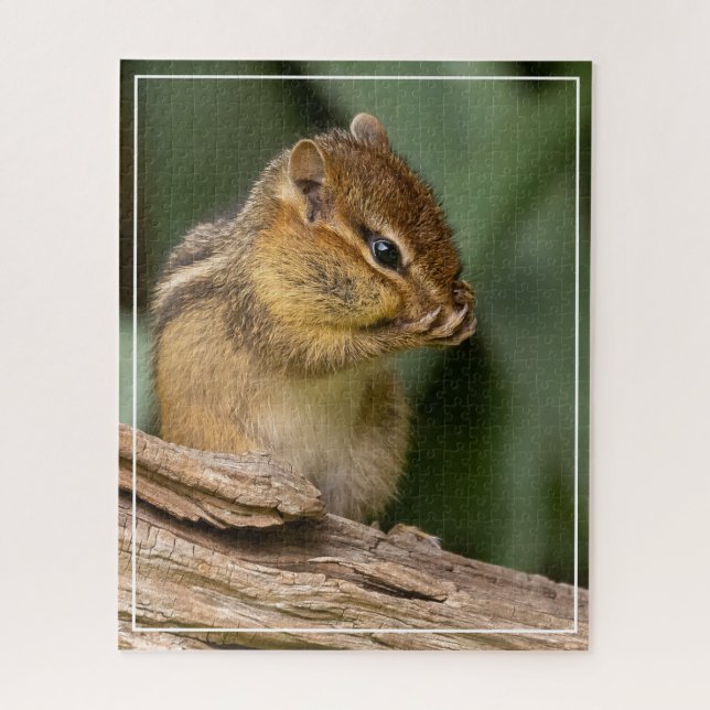 Quebra-cabeça Algo Cheira Chipmunk (Vertical)
