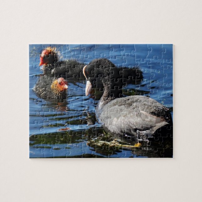 Quebra-cabeça Alimentando bebês (Horizontal)