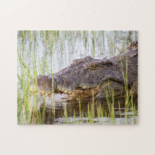 Quebra-cabeça Alligator Crocodiles Wildlife Africa