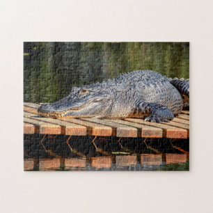 Quebra-cabeça Alligator do Parque Estadual da Vida Selvagem de H