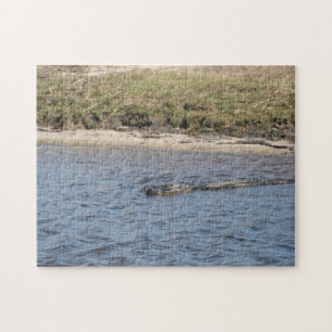 Quebra-cabeça Alligator Florida Water Nature
