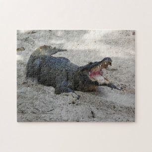 Quebra-cabeça Alligator, Fort Lauderdale, Florida