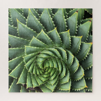 Quebra-cabeça Aloe Fibonacci Espiral