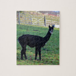 Quebra-cabeça Alpaca