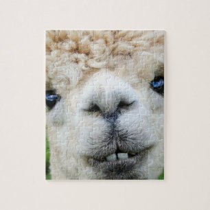 QUEBRA-CABEÇA ALPACA 8X10