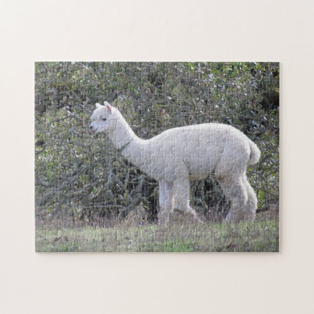 Quebra-cabeça - Alpaca Branco (Horizontal)