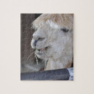 Quebra-cabeça Alpaca, Branco