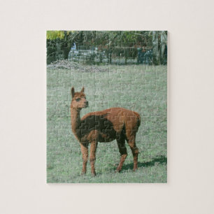 Quebra-cabeça - alpaca de Brown no campo