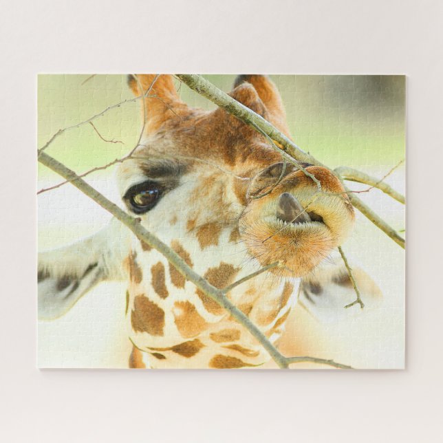 Quebra-cabeça ALTA ESPERANÇA 16x20 POLEGADAS (Horizontal)