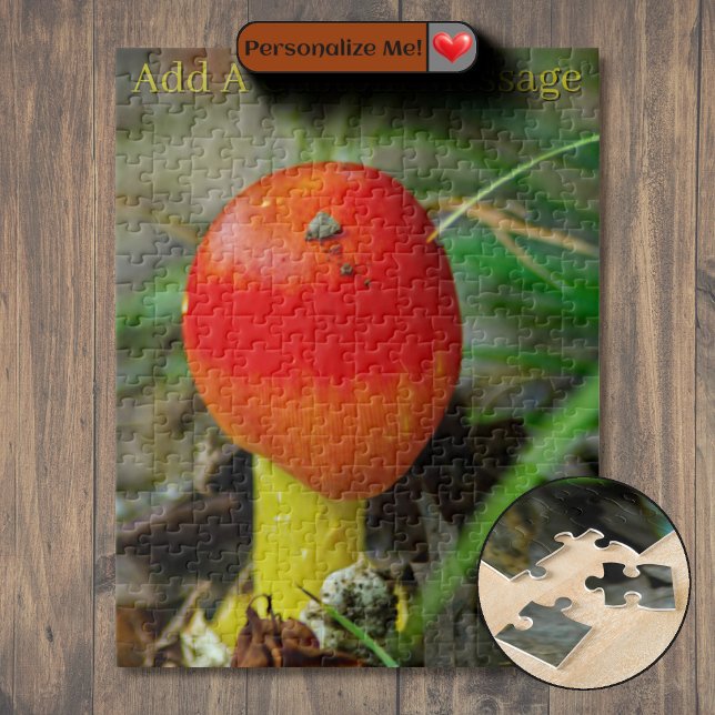 Quebra-cabeça Amanita caesarea oriental (Eastern Caesar's Amanita Jigsaw Puzzle)