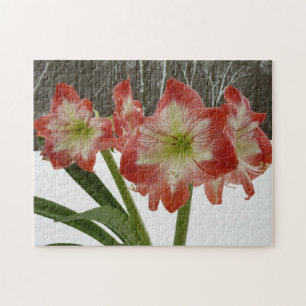 Quebra-cabeça Amaryllis no Feriado Vermelho de Neve Floral de in