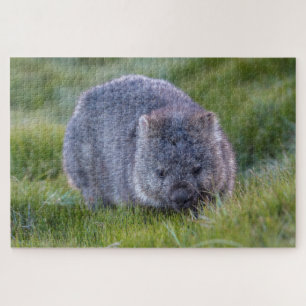 Quebra-cabeça Amazing Wombat in the Grass Australia, 1014 pieces