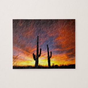 Quebra-cabeça América do Norte, EUA, Arizona, Deserto de Sonora.