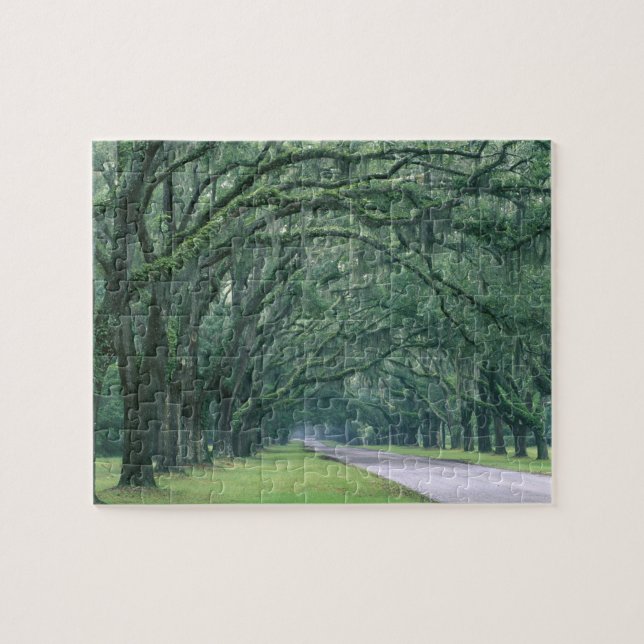 Quebra-cabeça América do Norte, EUA, Geórgia, Savannah, (Horizontal)