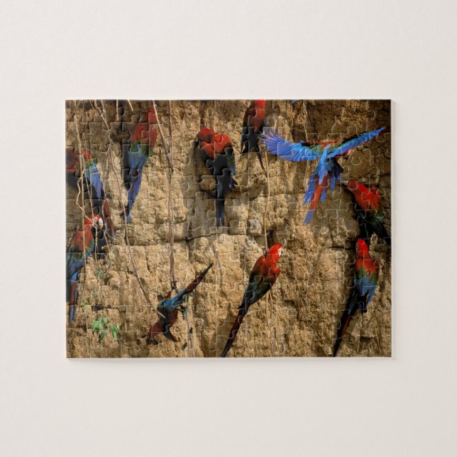 Quebra-cabeça América do Sul, Peru, Manu National Park (Horizontal)