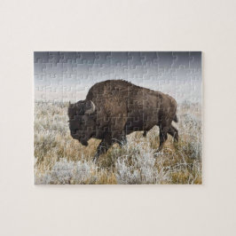 Quebra-cabeça American Bison ou Buffalo
