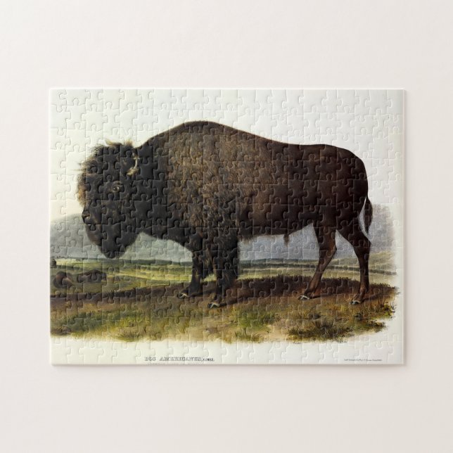 Quebra-cabeça American Bison, ou Buffalo (Bison bison) - Audubon (Horizontal)
