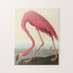 Quebra-cabeça American Flamingo ~ John James Audubon 11 x 14