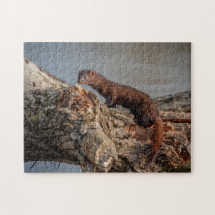 Quebra-cabeça American Mink