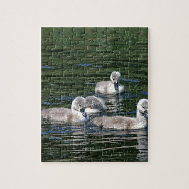 Quebra-cabeça Amigos da natação (Vertical)