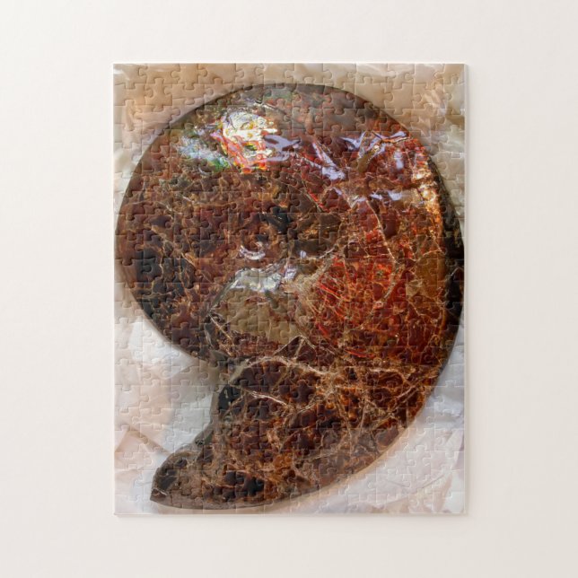 Quebra-cabeça Ammonite ammolita (Vertical)