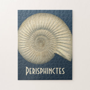 Quebra-cabeça Amonite de Perisphinctes