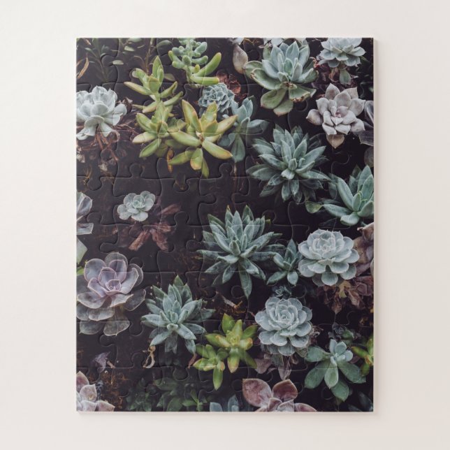 Quebra-cabeça Amortecimento de Pequenas Plantas Suculentas (Vertical)
