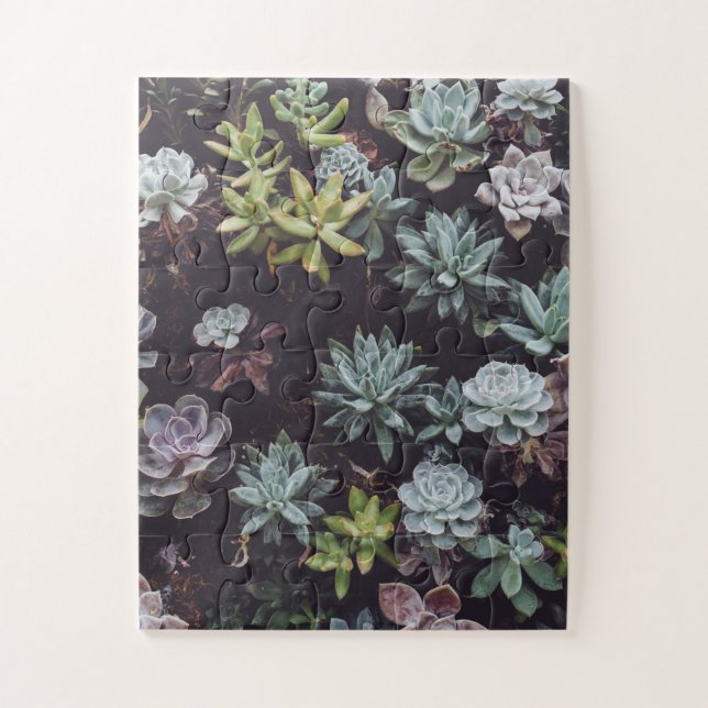 Quebra-cabeça Amortecimento de Pequenas Plantas Suculentas (Vertical)