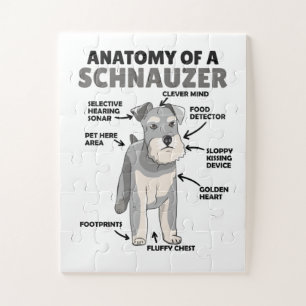 Quebra-cabeça Anatomia De Cachorro Cuto Schnauzer