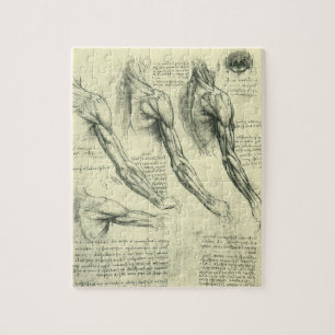 Quebra-cabeça Anatomia do braço e do ombro de Leonardo da Vinci