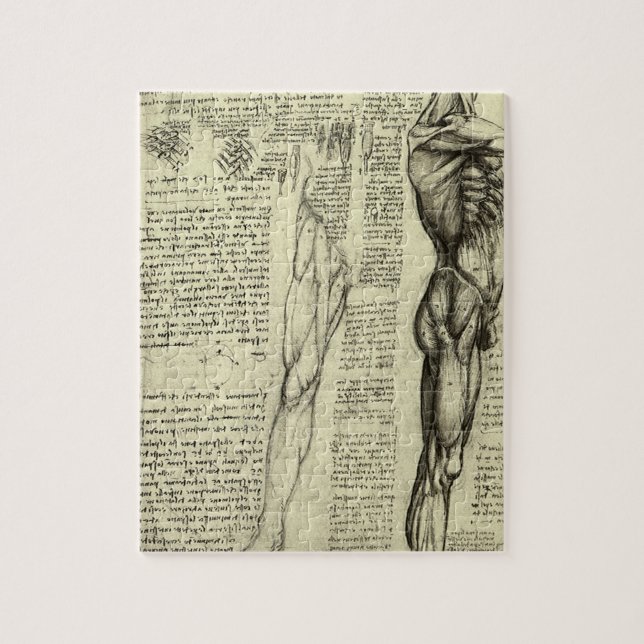 Quebra-cabeça Anatomia Humana Masculina de Leonardo da Vinci Mús (Vertical)