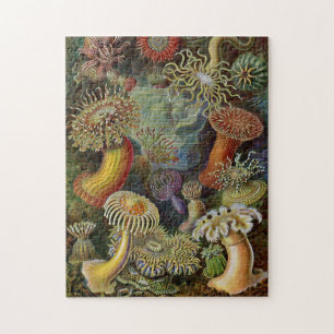 Quebra-cabeça Anêmonas de mar de Ernst Haeckel