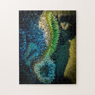 Quebra-cabeça Anêmonas do mar na Baía de Cox, Tofino, BC (Canadá