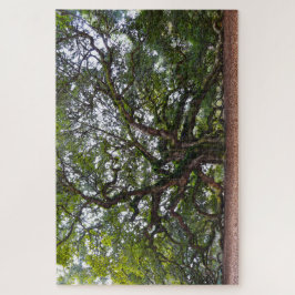 Quebra-cabeça Angel Oak, Carolina do Sul