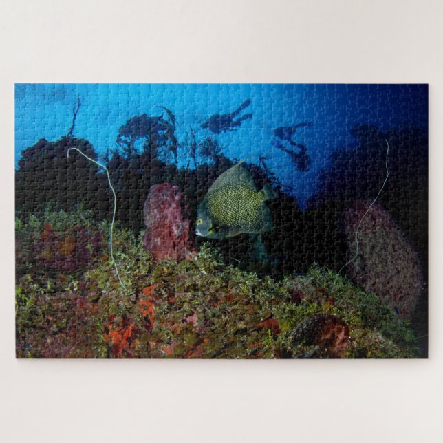 Quebra-cabeça Angelfish e mergulhadores Inferiores a 20"x30" (Horizontal)