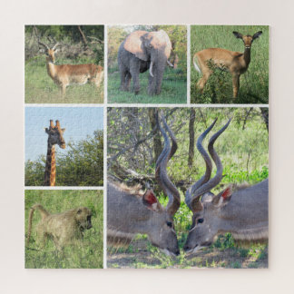 Quebra-cabeça animais africanos
