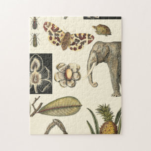 Quebra-cabeça Animais Agrupados Pintados em Fundo de Nata