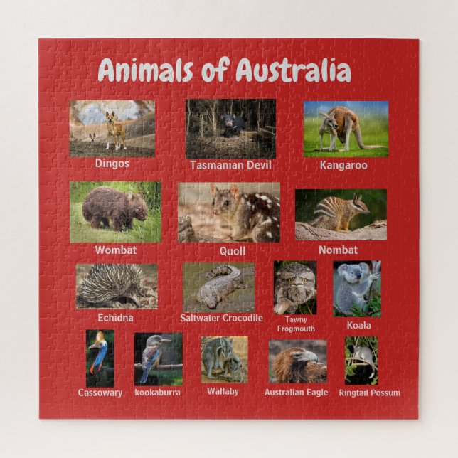 Quebra-cabeça Animais da Austrália (Vertical)